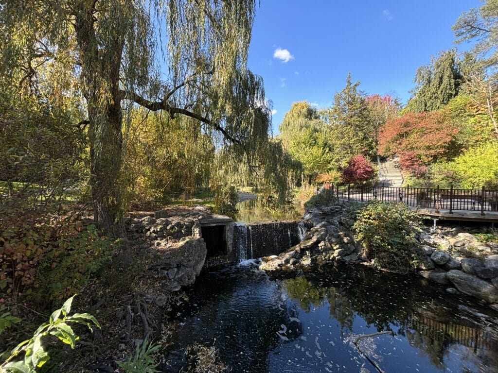 Edwards Gardens in Toronto